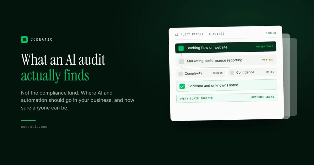 Cover reading What an AI audit actually finds, beside an audit report panel listing findings such as marketing performance reporting rated partially automatable at medium complexity, with evidence and unknowns listed